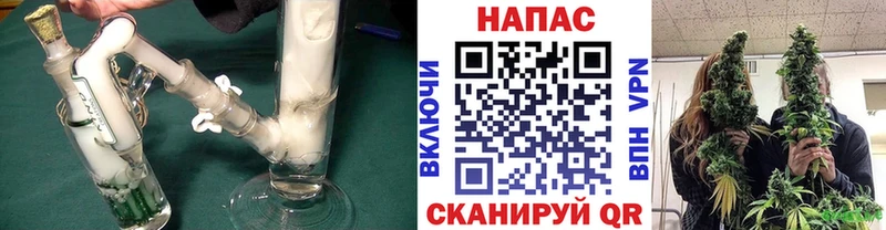 Бошки марихуана сатива  Купить закладки  Ворсма 